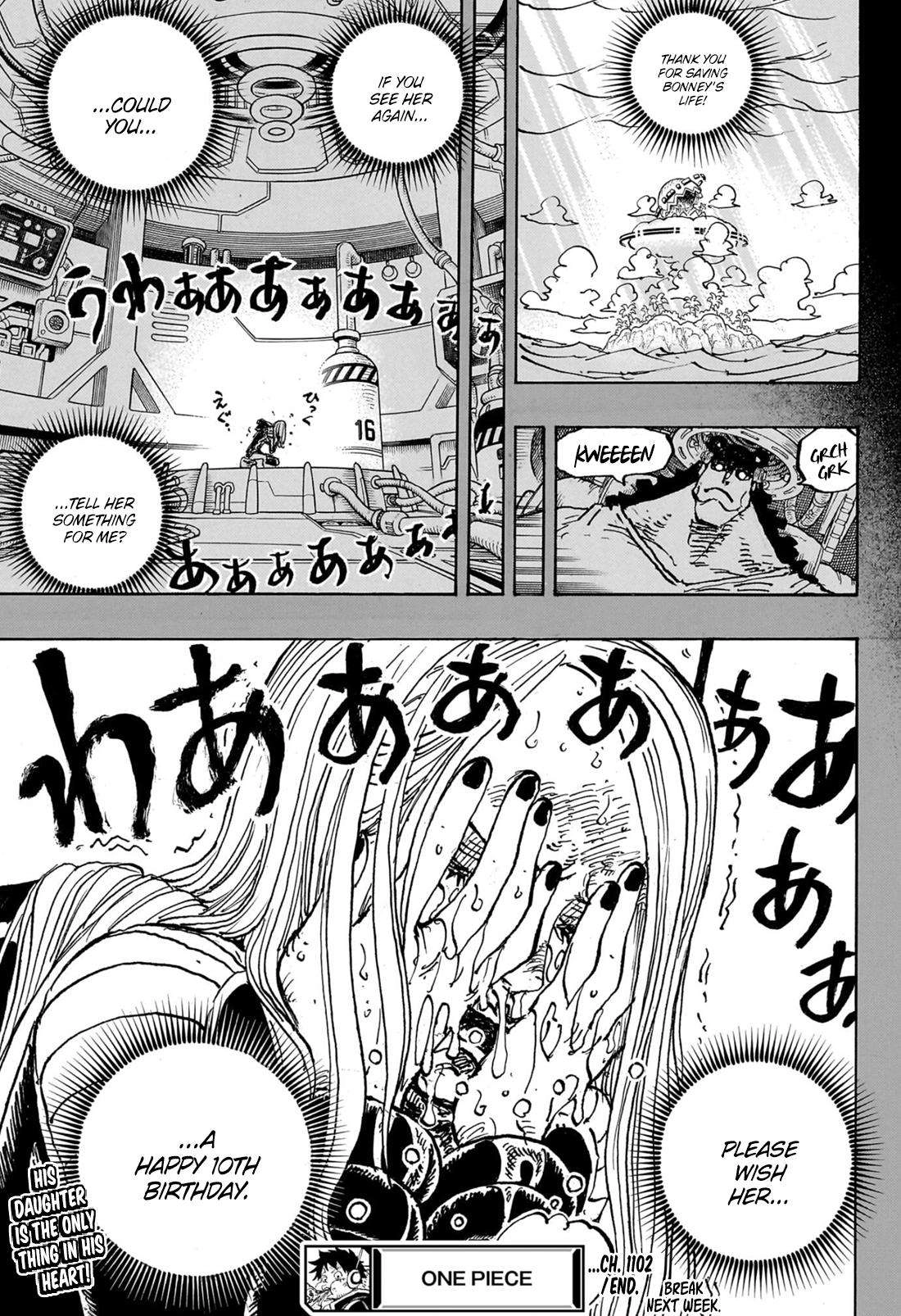 One Piece Chapter 1102 19